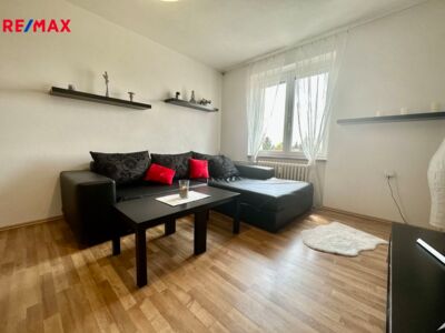 REMAX Delux