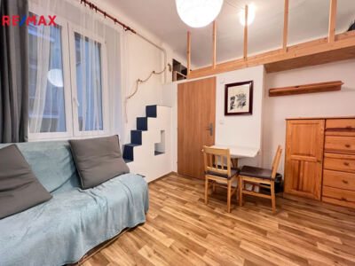 REMAX Delux