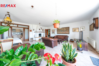 REMAX Brno