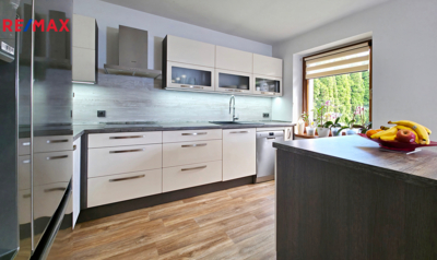 REMAX Delux