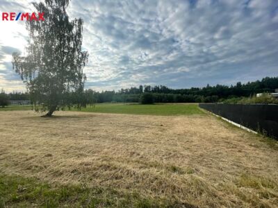 REMAX Delux