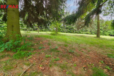 2947825.jpg 2947825.jpg