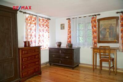 REMAX Delux