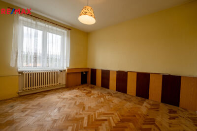 REMAX Delux