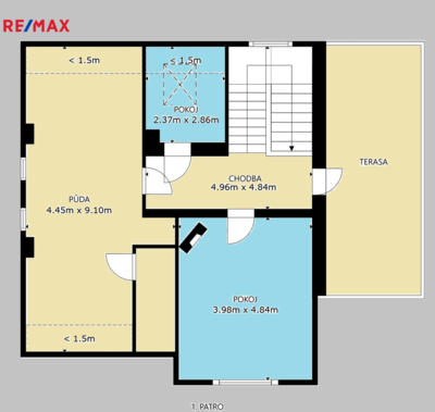 REMAX Delux