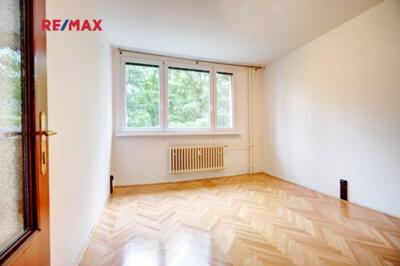 REMAX Delux