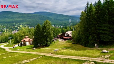 2877645.jpg
