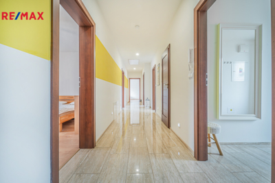 REMAX Delux