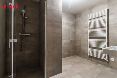 REMAX Delux