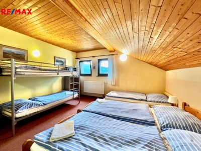 REMAX Delux