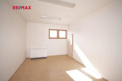 REMAX Delux