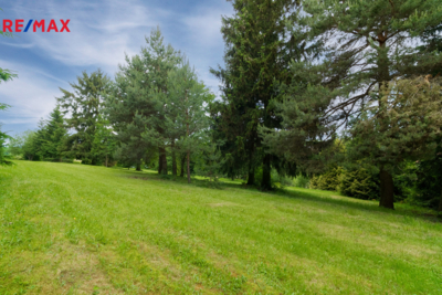 3033541.jpg 3033541.jpg