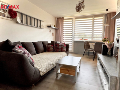 REMAX Brno