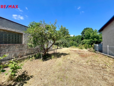 REMAX Delux