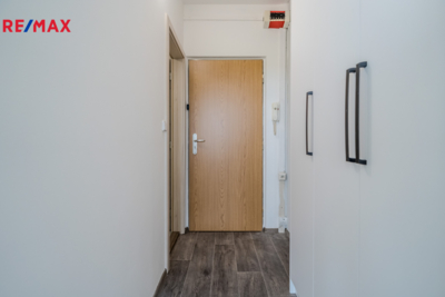 REMAX Delux