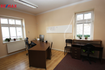 REMAX Delux