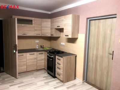 REMAX Delux