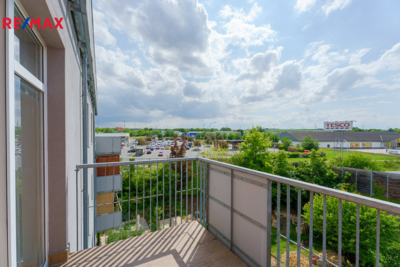 REMAX Delux