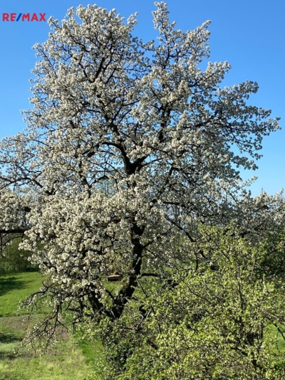 Realitní makléř Brno