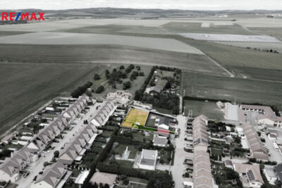 REMAX Delux
