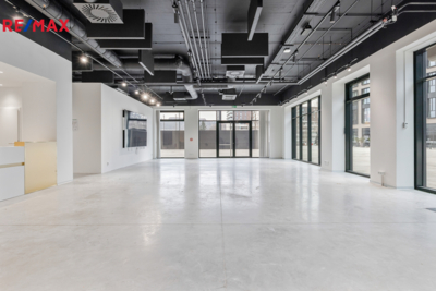 REMAX Delux