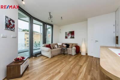 REMAX Delux