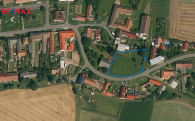 REMAX Delux
