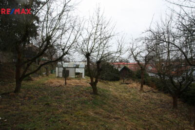 REMAX Brno