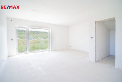 REMAX Delux