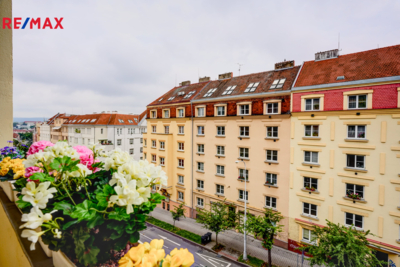REMAX Brno