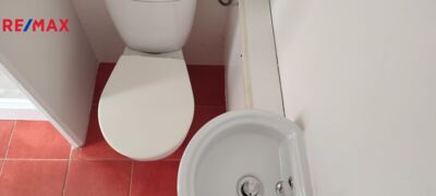 REMAX Delux