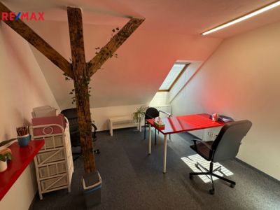 REMAX Brno