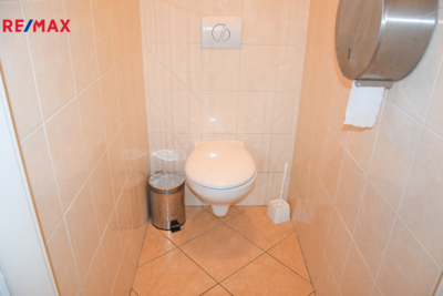 REMAX Delux