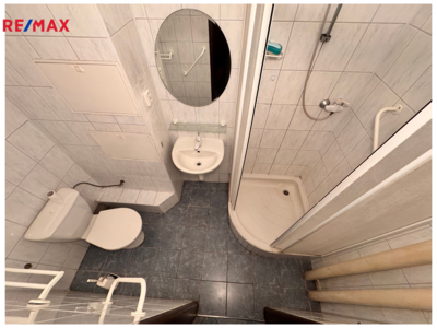 REMAX Delux