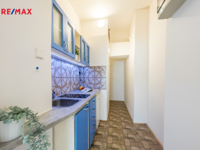REMAX Delux
