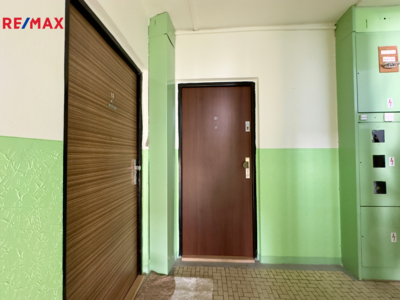 REMAX Delux