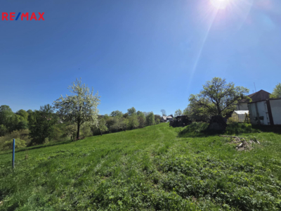 REMAX Delux