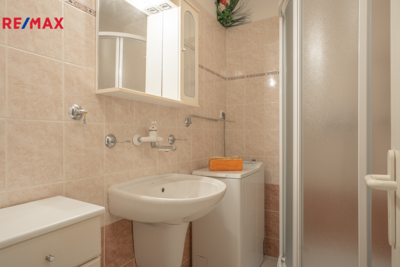 REMAX Delux