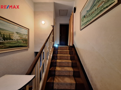REMAX Delux