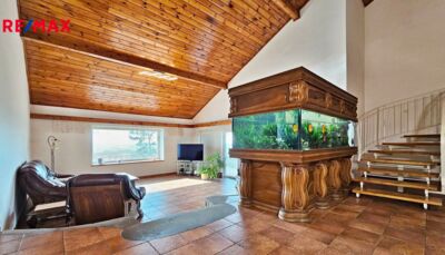 REMAX Delux