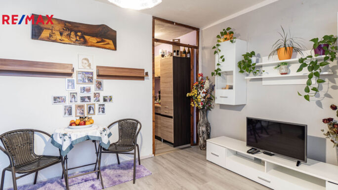 Prodej bytu 2+1, 40 m2, Brno - obrázek 13