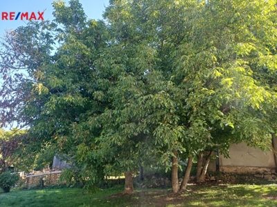 2999491.jpg 2999491.jpg