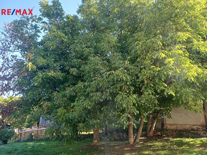 2999491.jpg 2999491.jpg