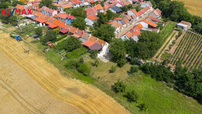 Prodej vinného sklepa, Prušánky - obrázek 46