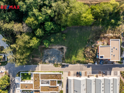 2952169.jpg 2952169.jpg