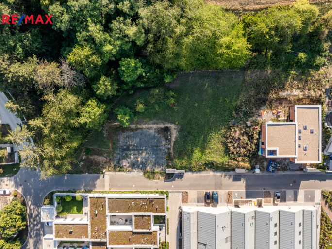 2952169.jpg 2952169.jpg