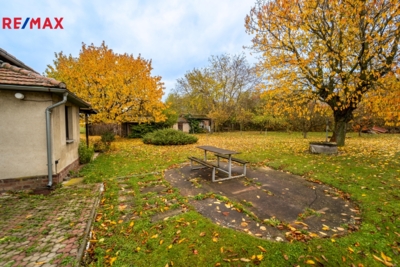 3064933.jpg 3064933.jpg