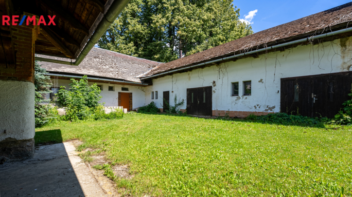 2910872.jpg