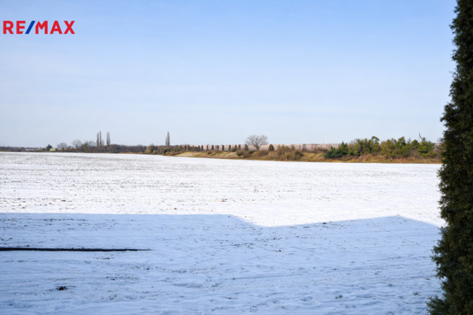 3167617.png 3167617.png