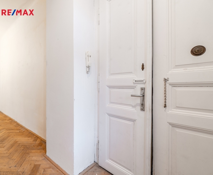 REMAX Delux